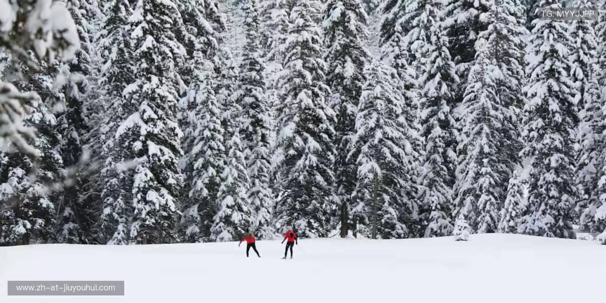 限量周边，收藏荣耀，你的专属体育记忆！🎯✨